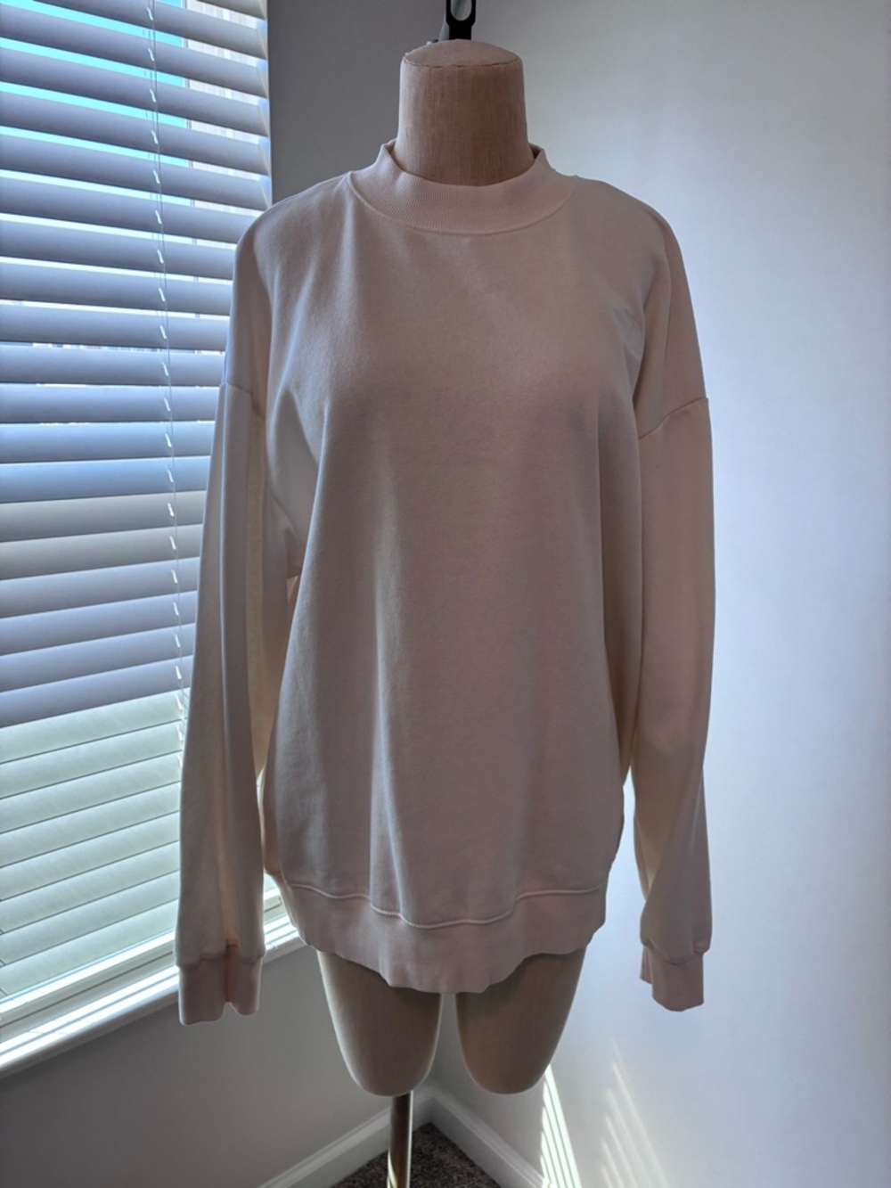 NWT The North Face Ivory Evolution Mock Neck Embroidered Sweatshirt